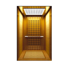 Promotional Various Durable Using Doors Many People Elevator Guide Rail Passenger